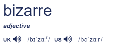 bizarre difinition from dictionary.